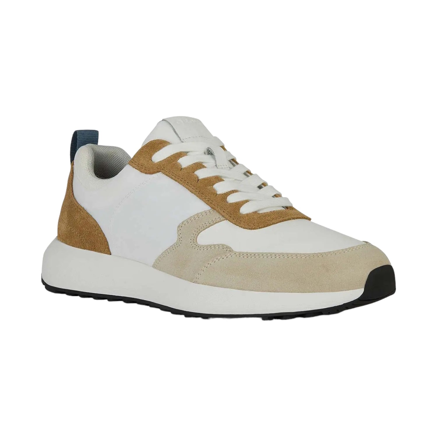 Geox Sneakers Tortora Bianca Volpiano da Uomo